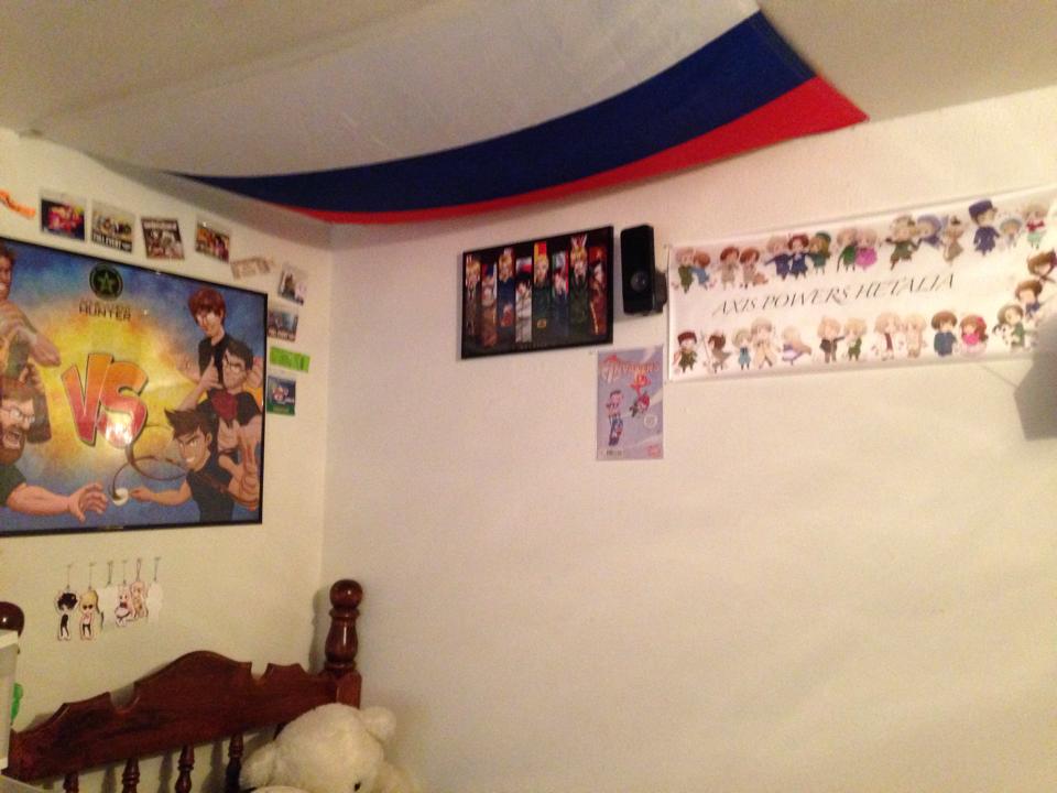 My weeb room in 2014